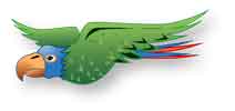 papagaj